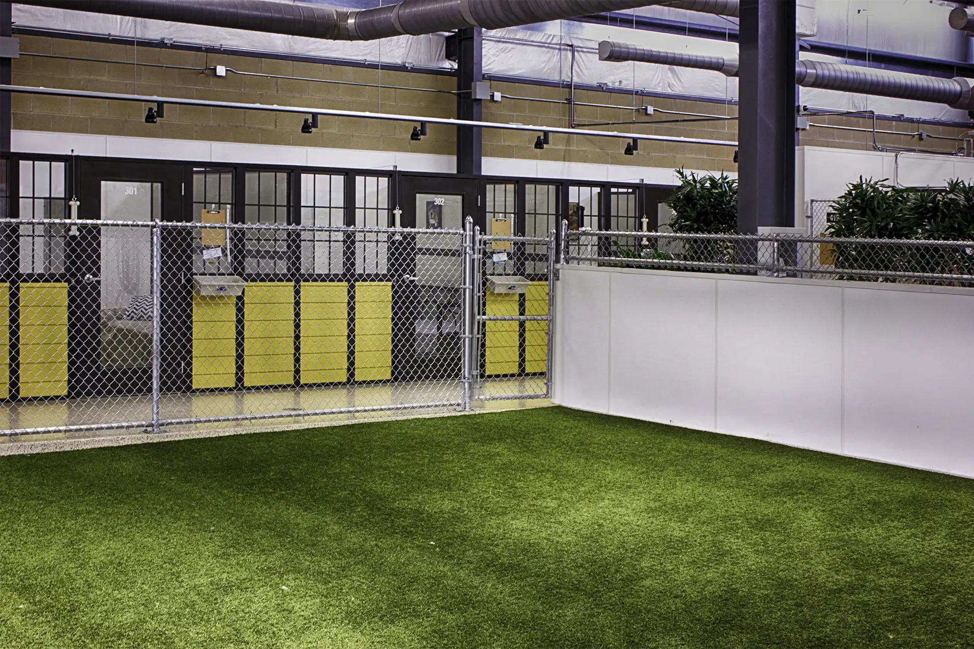 Whiskers Resort & Pet Spa Pet Boarding Grand Rapids, MI